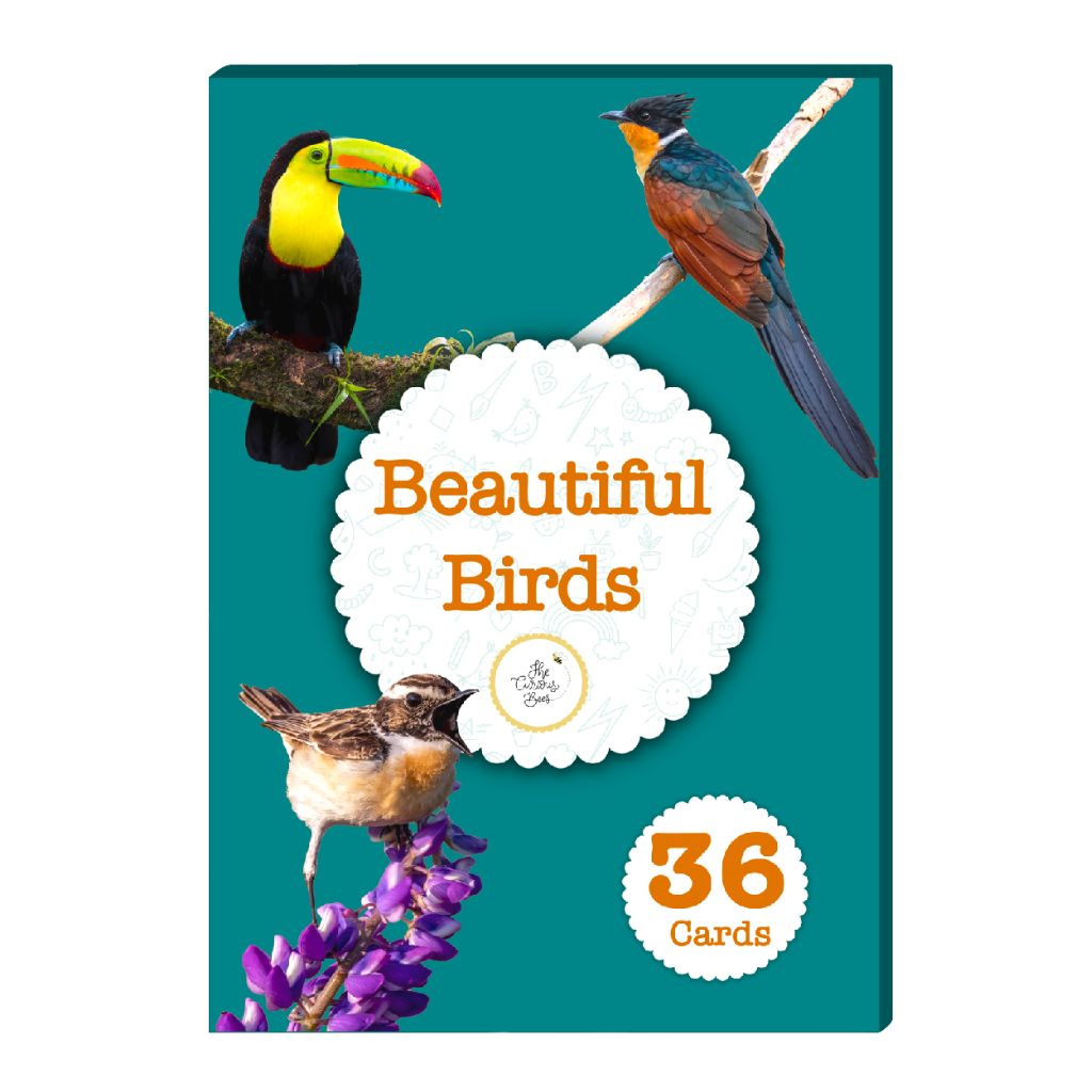 Beautiful Birds Flash Cards